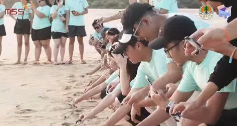 PROMS Restores Coastal Habitat and Supports Turtle Conservation in Ujung Genteng — gallery image 1 PROMS Restores Coastal Habitat and Supports Turtle Conservation in Ujung Genteng — gallery image 1