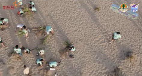 PROMS Restores Coastal Habitat and Supports Turtle Conservation in Ujung Genteng — gallery image 2 PROMS Restores Coastal Habitat and Supports Turtle Conservation in Ujung Genteng — gallery image 2