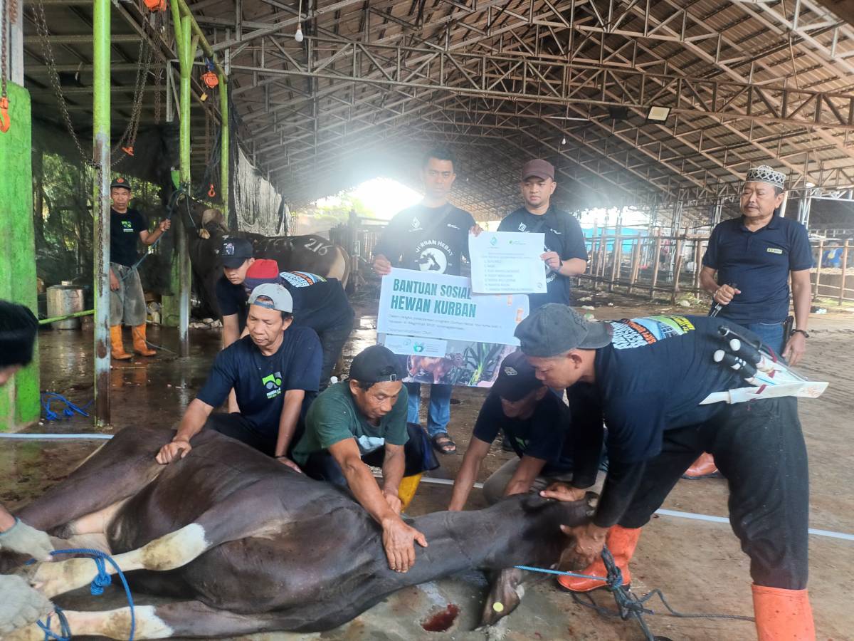 Qurban meat assistance prepared for orphans and low-income families